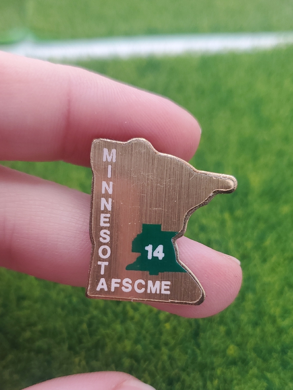 Minnesota Pin Collectible B910